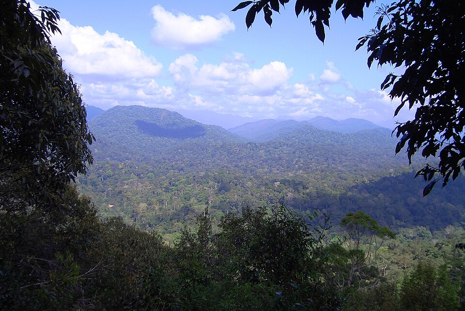 Mount Tahan