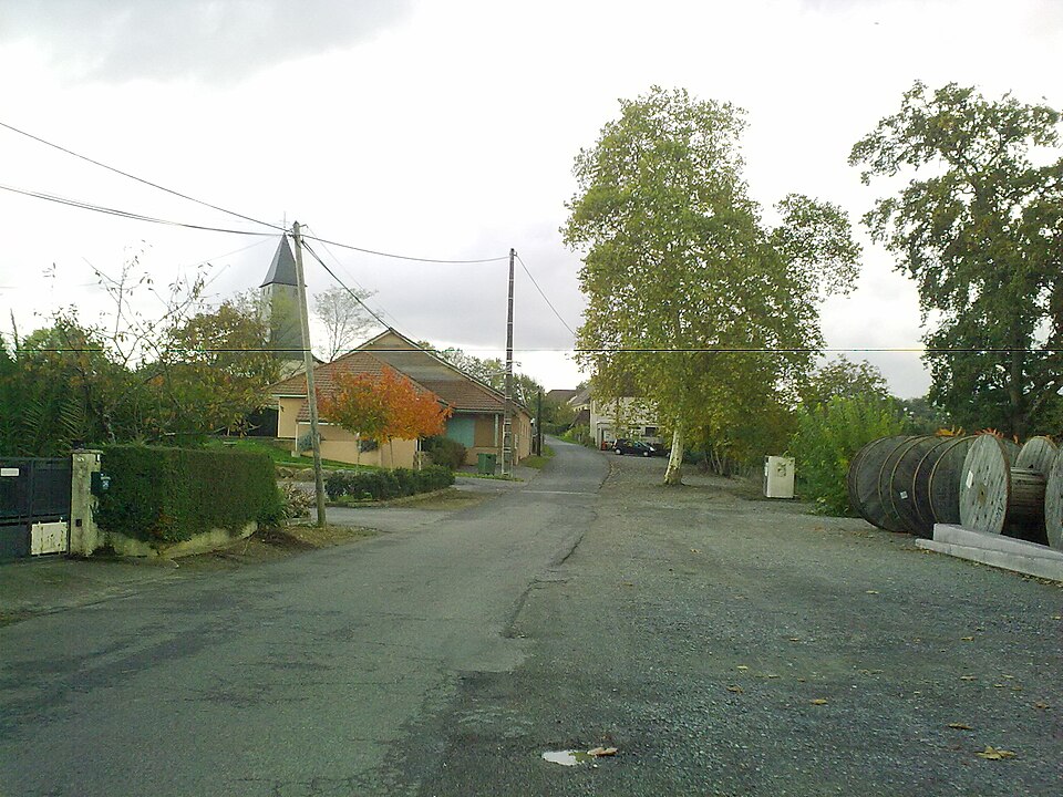 Doazon