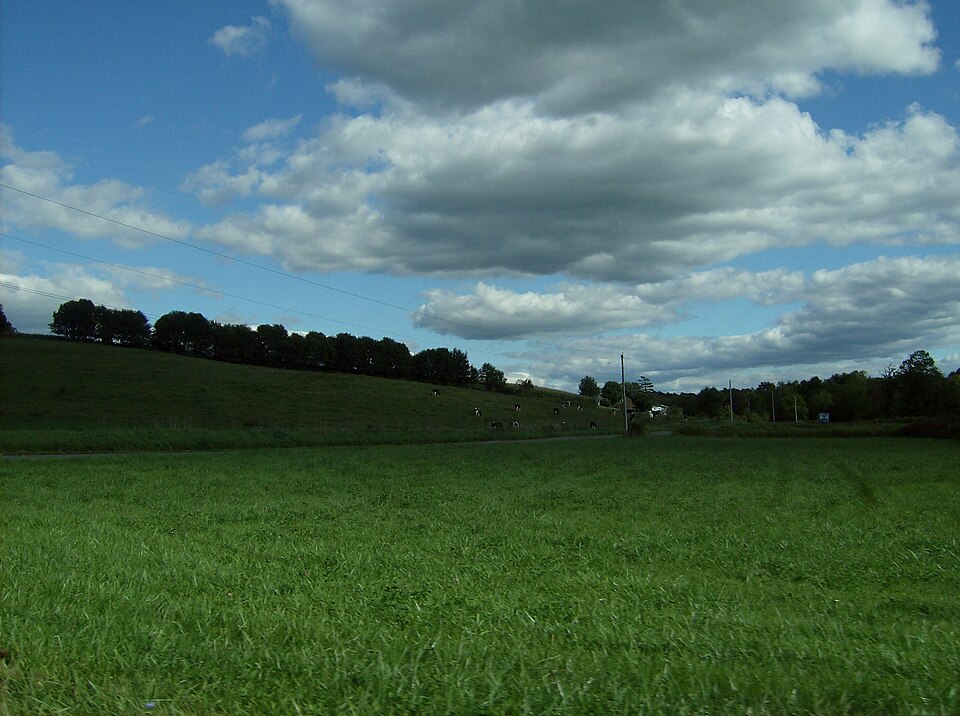 Augusta Township