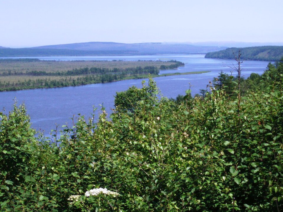 Vaninsky District
