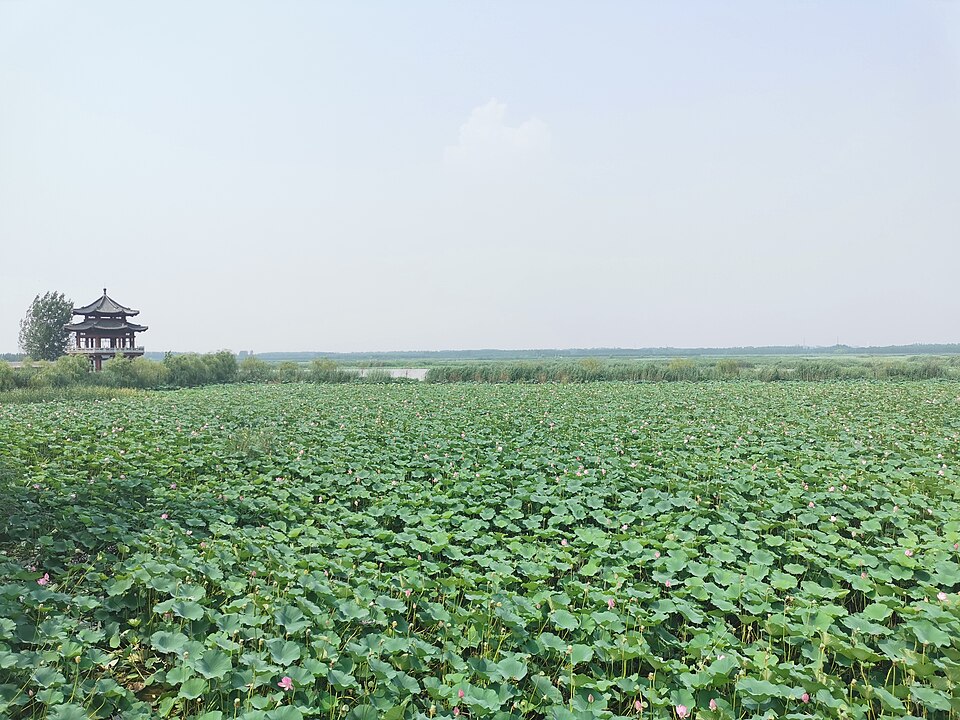 Weishan County