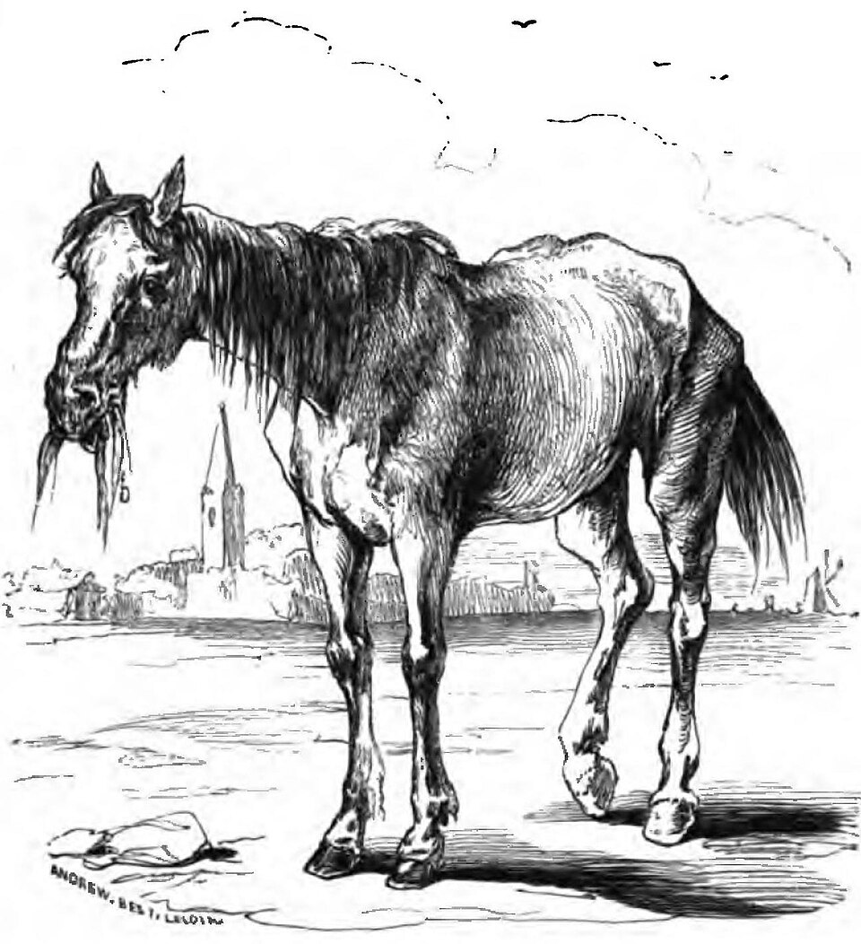 Rocinante
