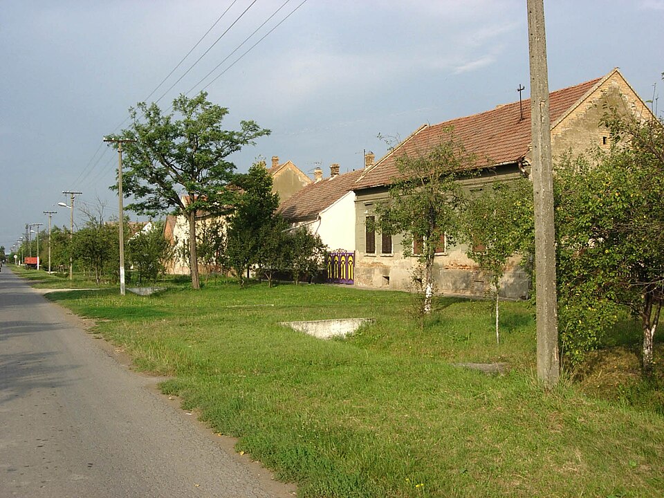 Novi Kozarci