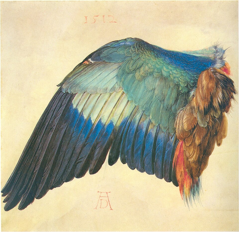 wing