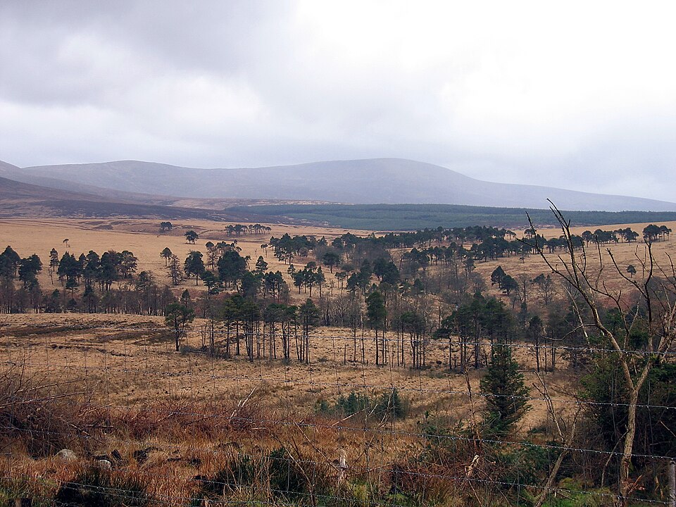 Mullaghcleevaun
