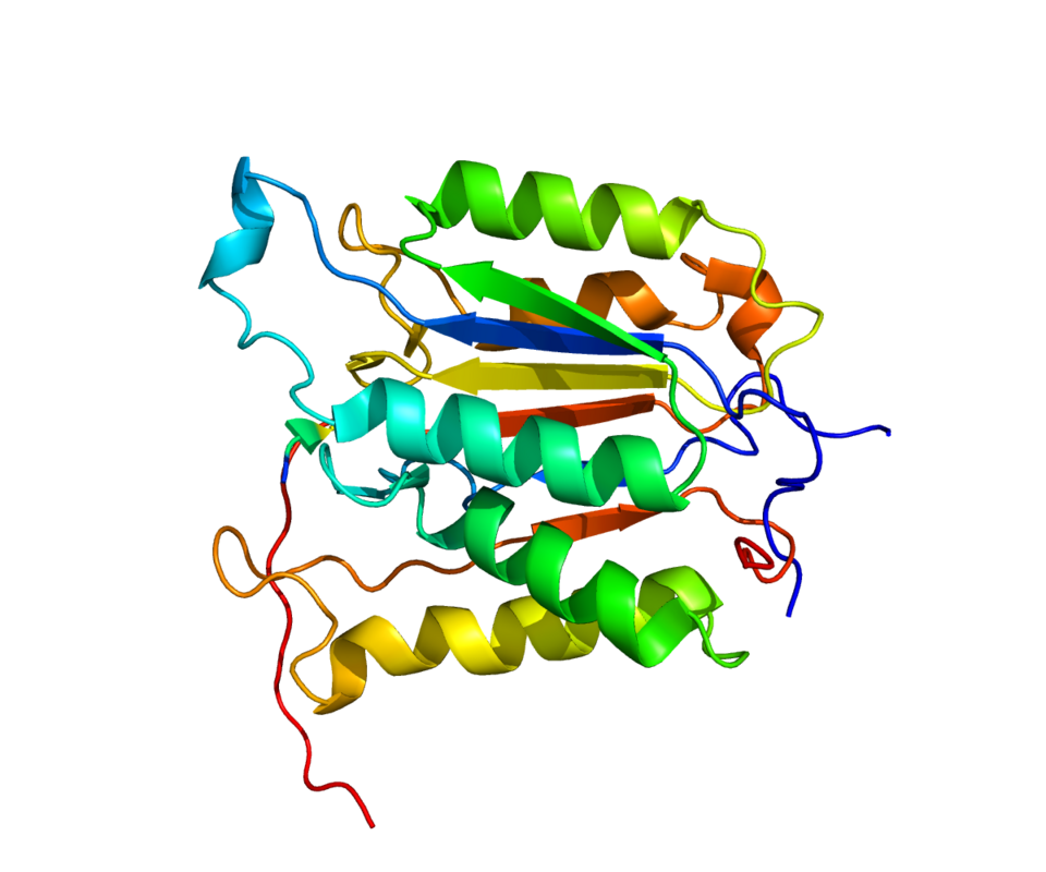 CASP6