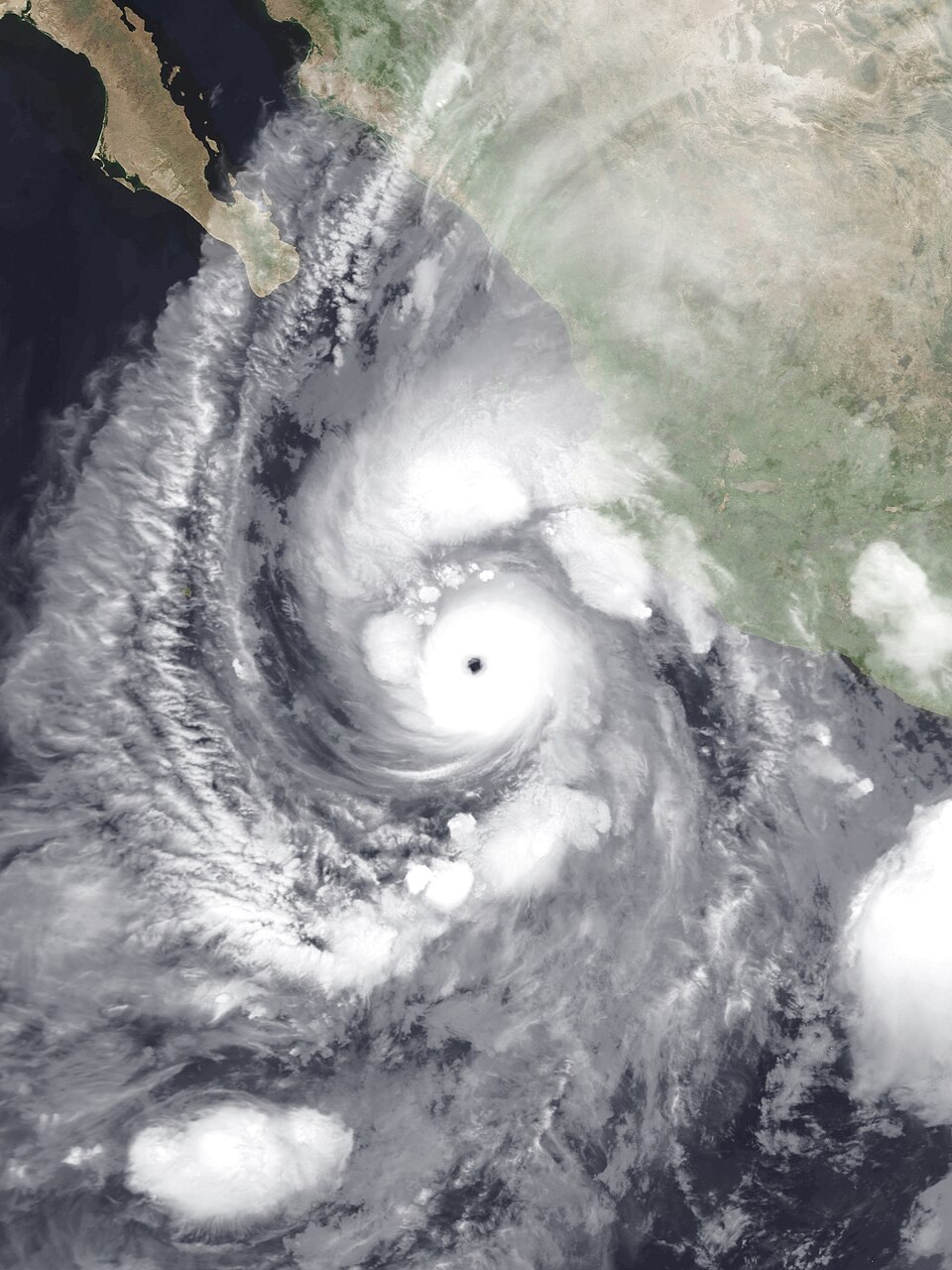 Hurricane Willa