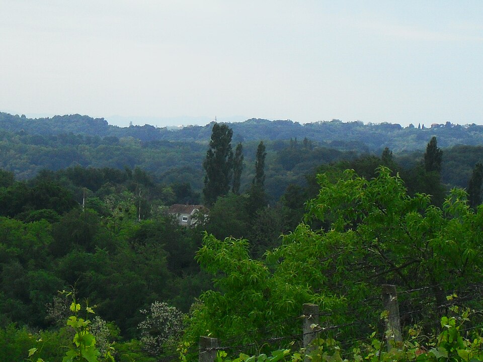 Kapelščak