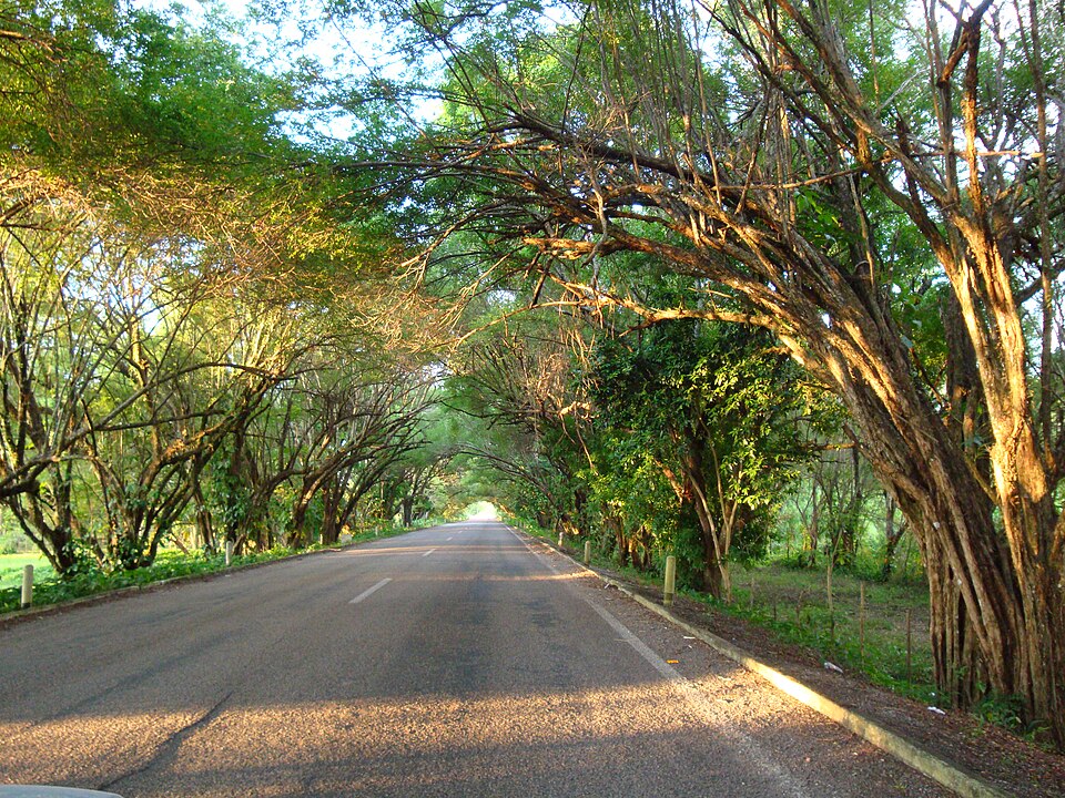 Jalapa