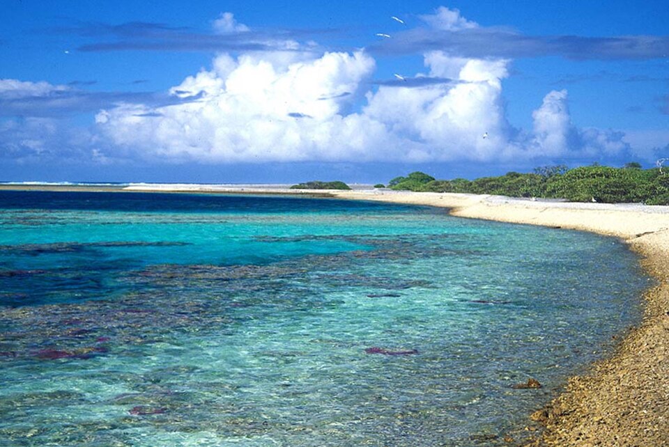 Ducie Island