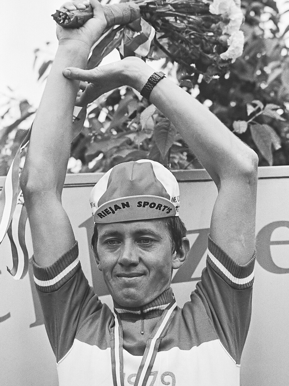 Hennie Stamsnijder