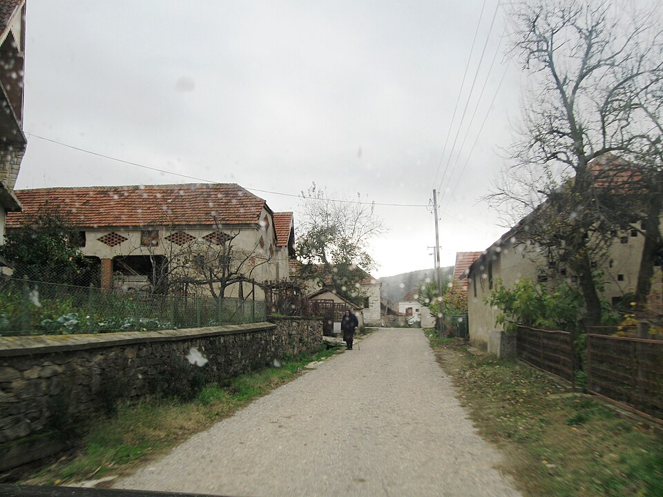Maletina