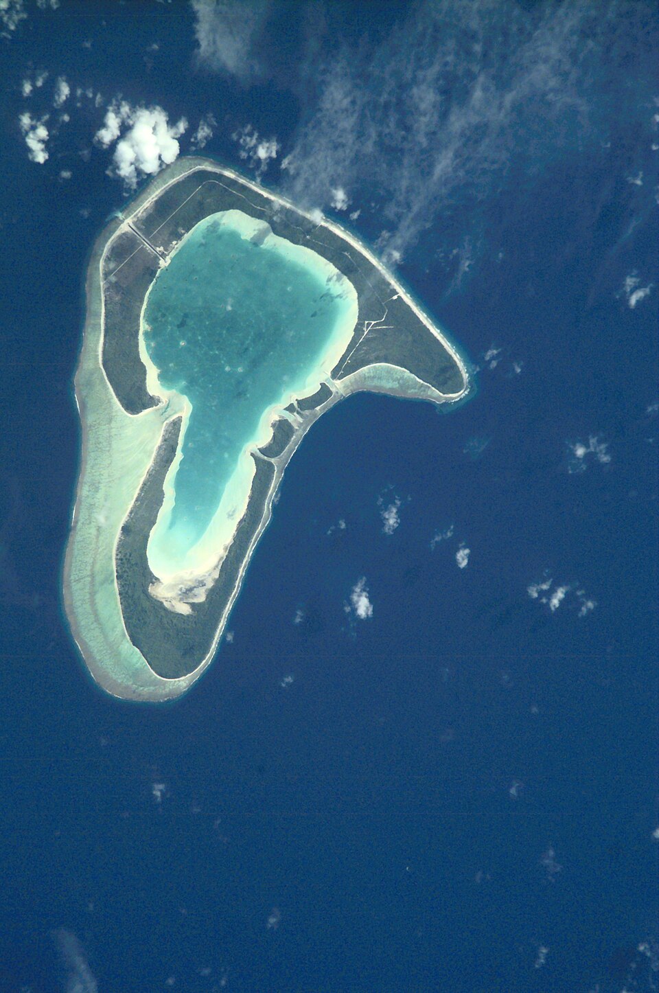 Tupai