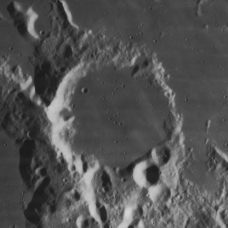 Capuanus