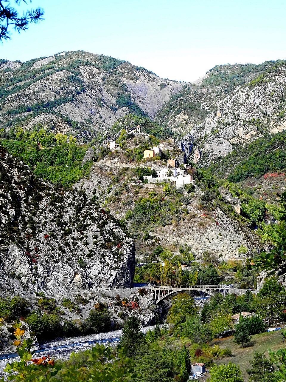 Daluis