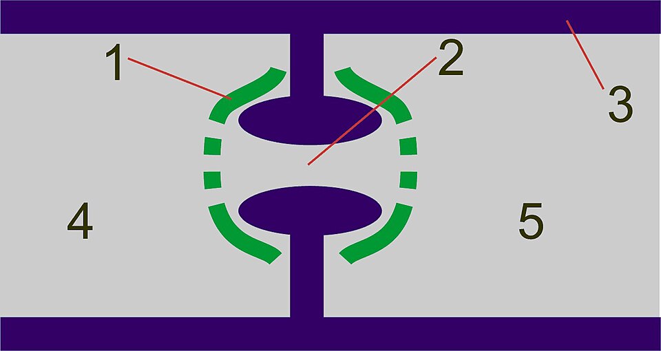 Parenthesome