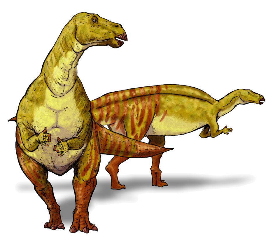 Nanyangosaurus
