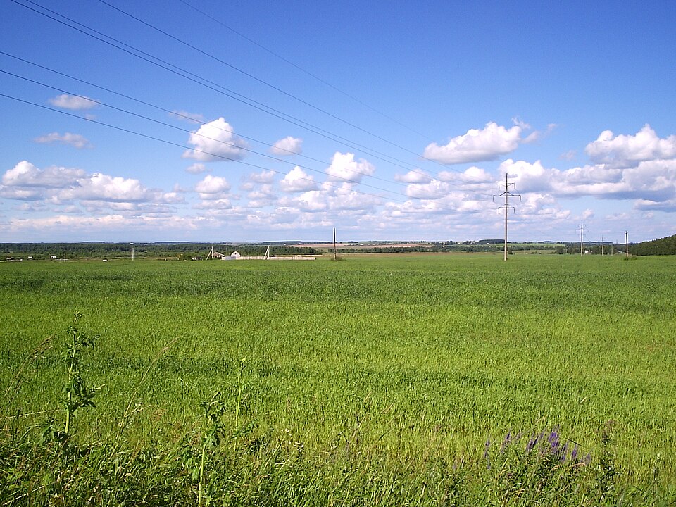 Yaroslavsky District