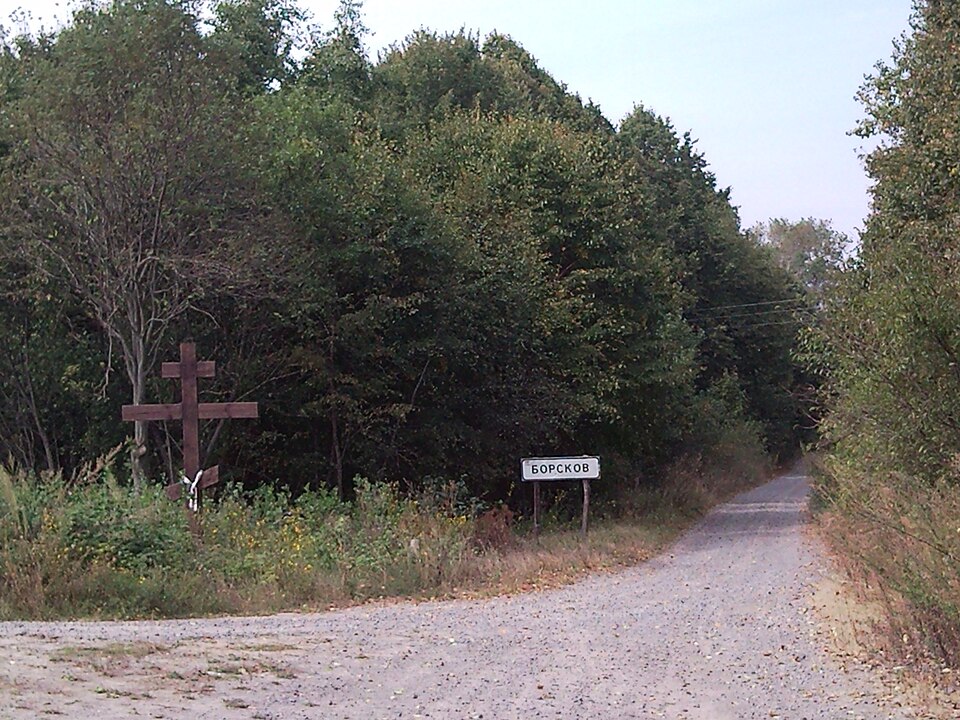 Borskiv