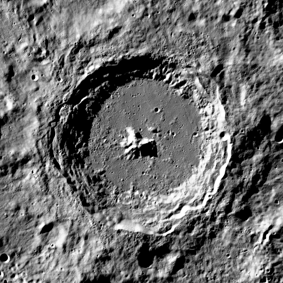 Moretus