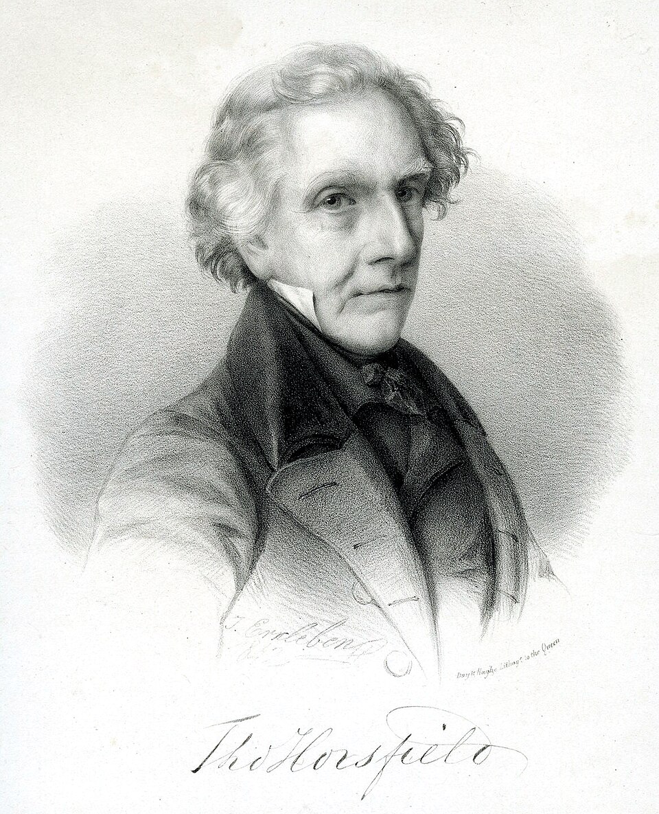 Thomas Horsfield
