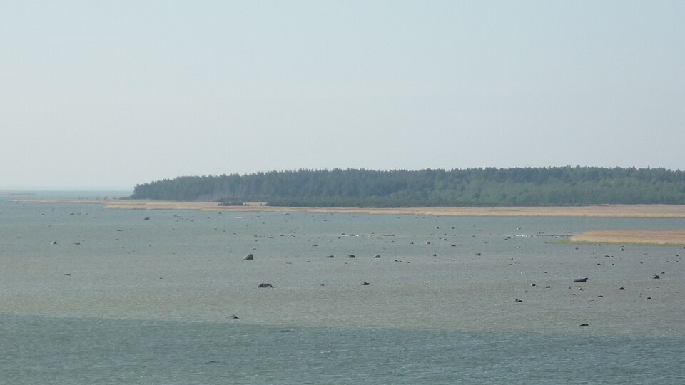 Tauksi