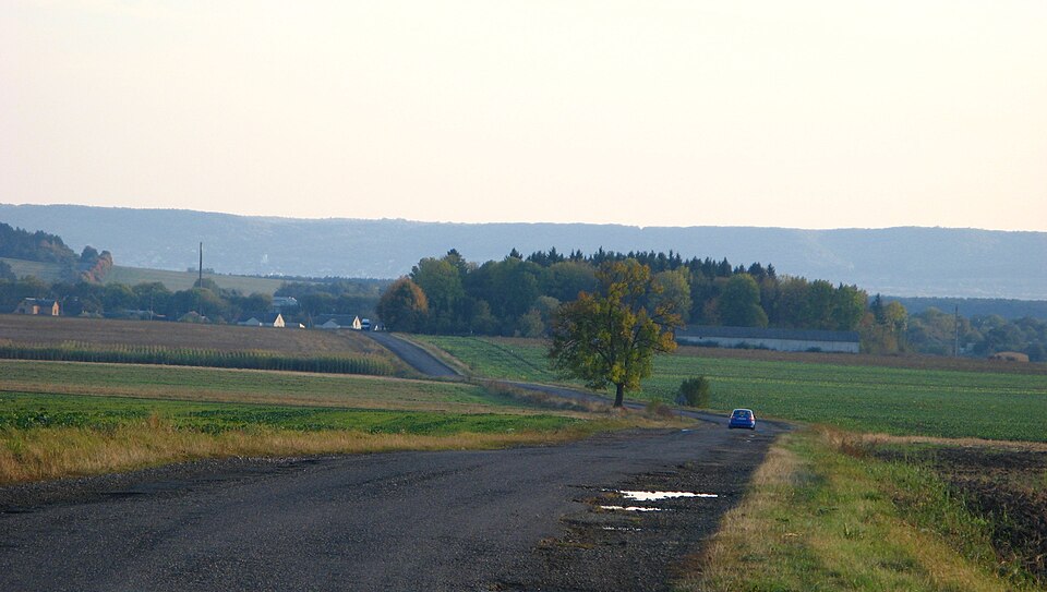 Bilyi Kamin