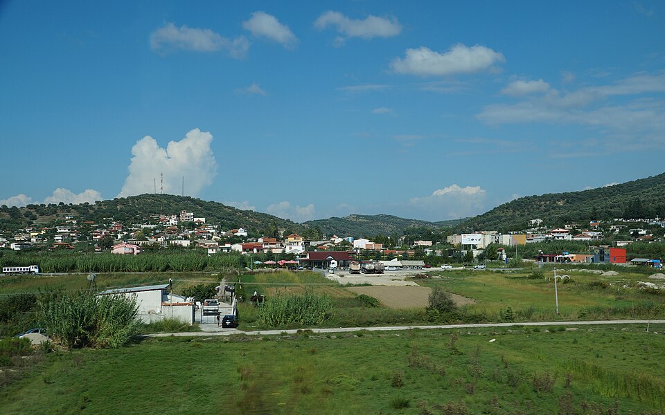 Levan