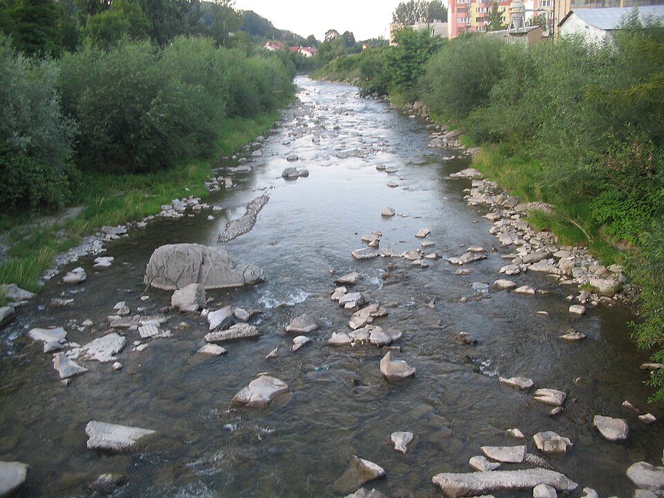 Biała