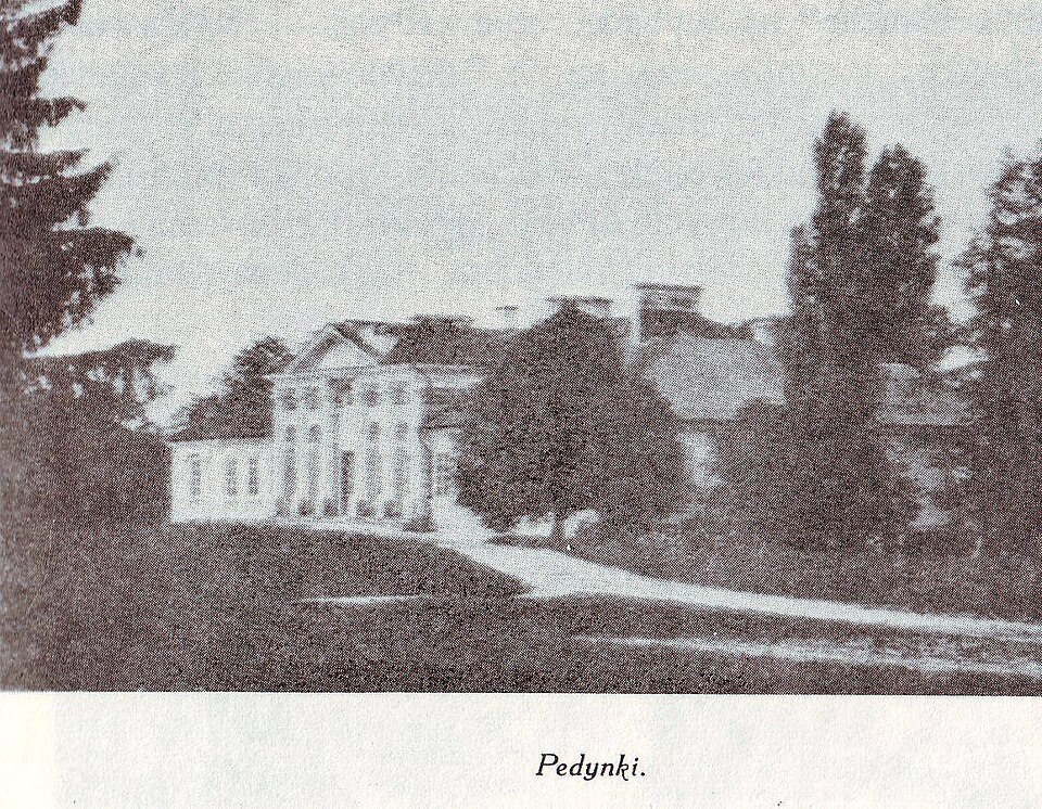 Pedinki