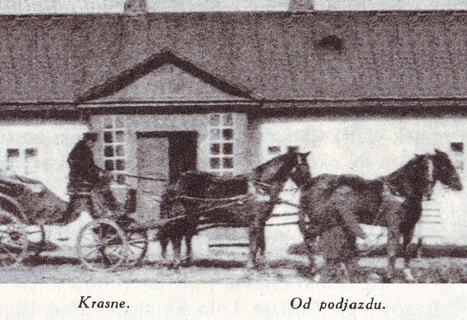 Krasne