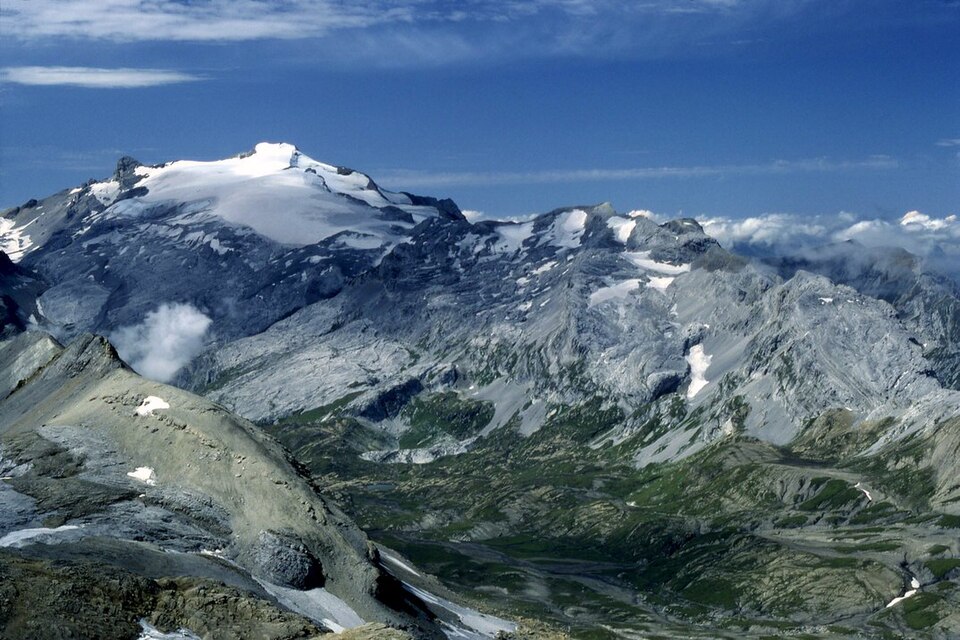Wildhorn