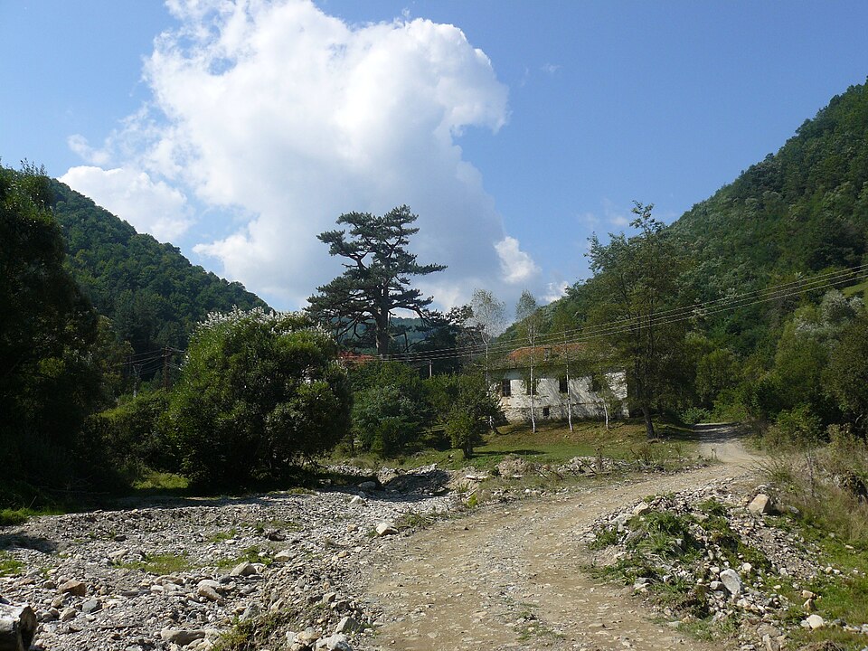 Crnoštica