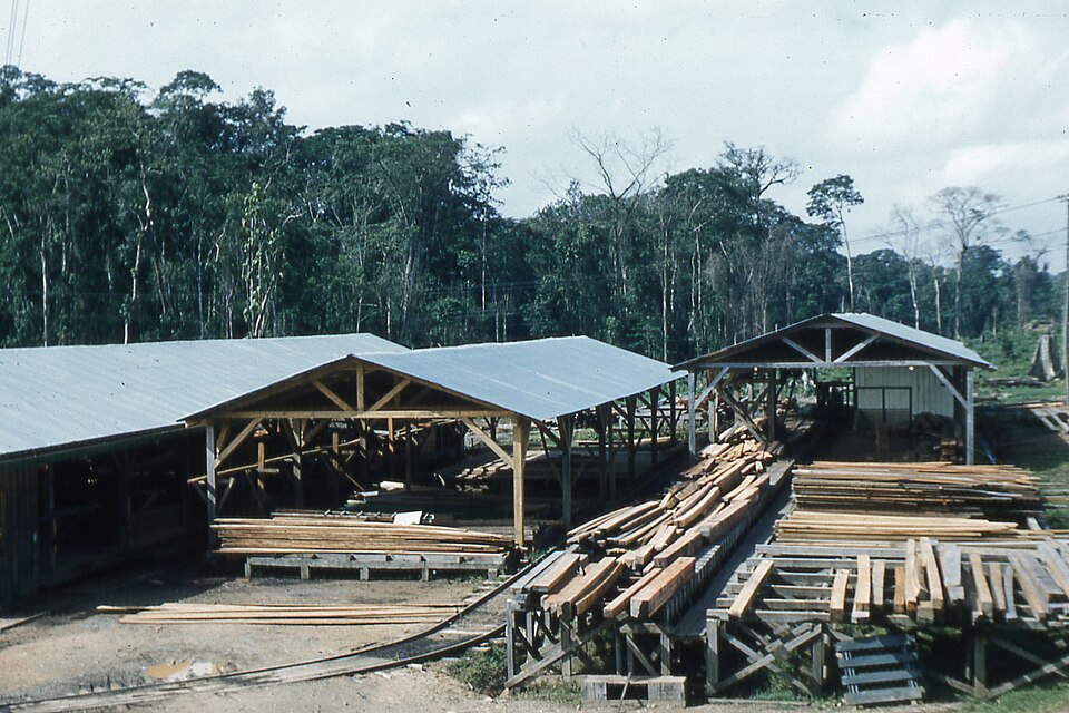 sawmill