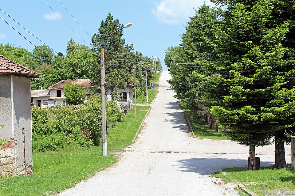 Batishnitsa