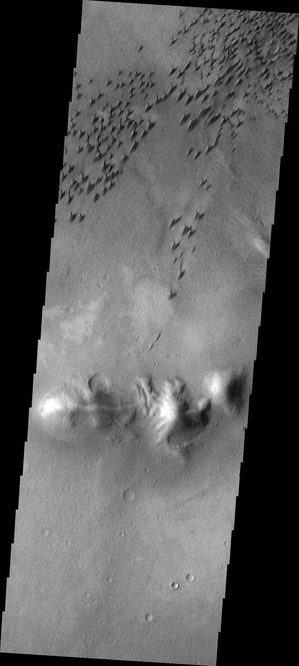 Arkhangelsky