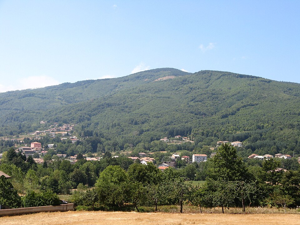 Decollatura