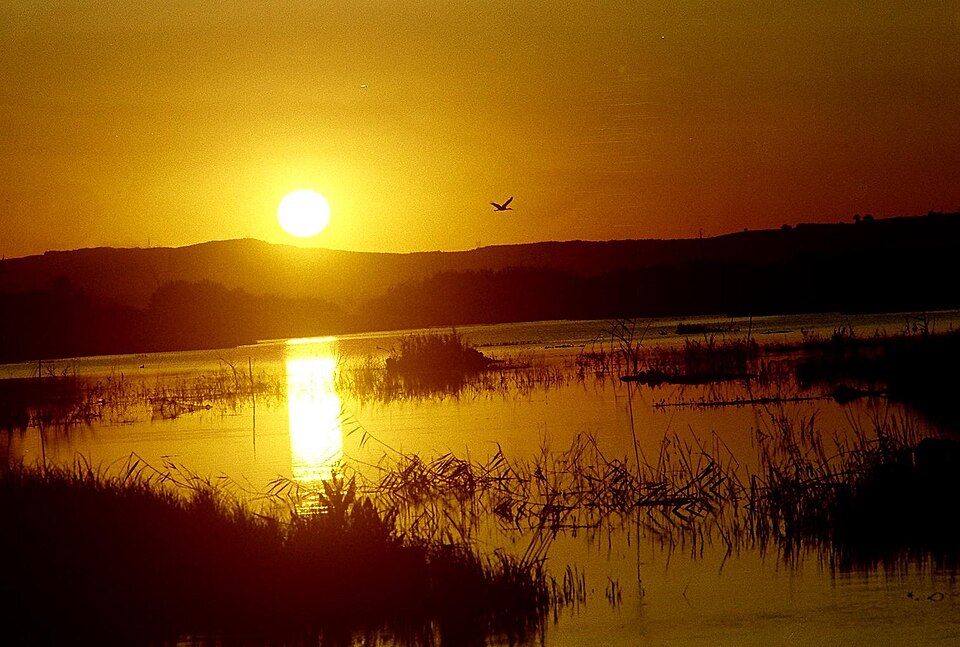 Ladik Lake