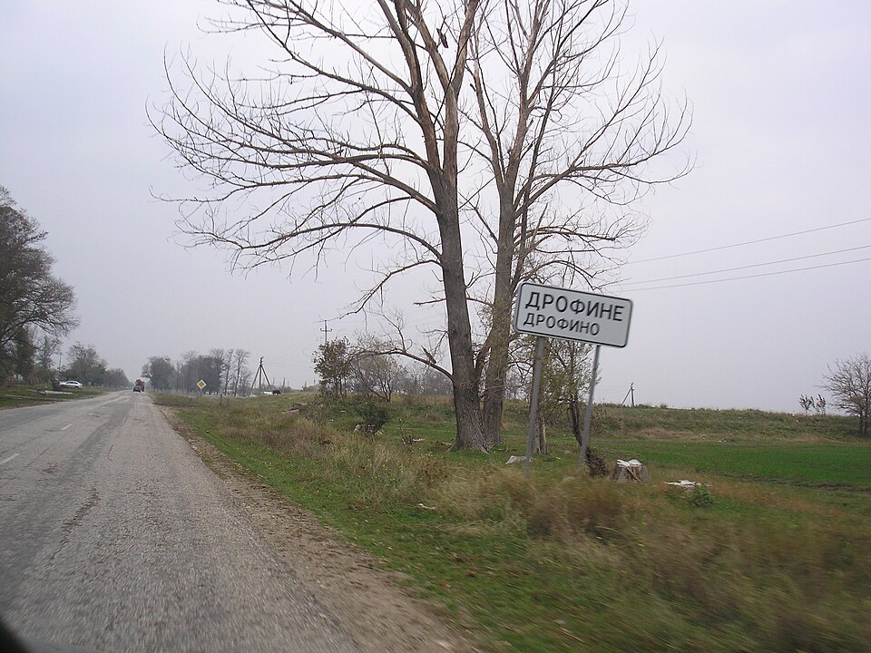 Drofyne
