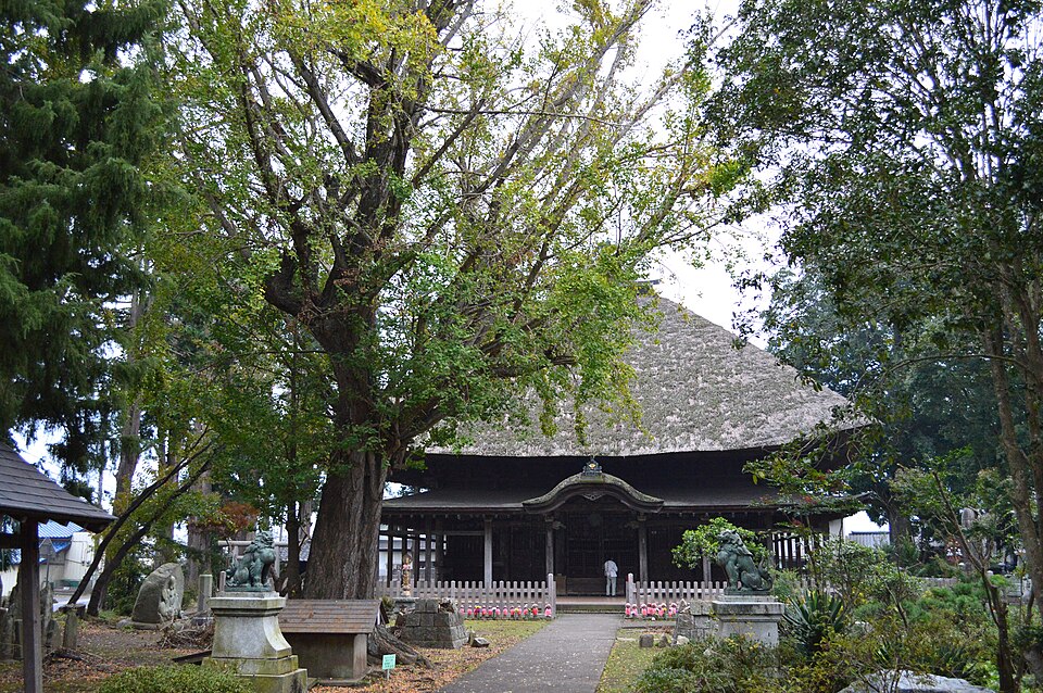 Hitachiōta-shi