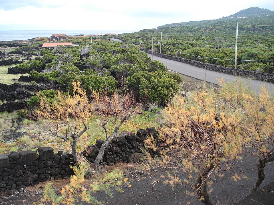 Santa Luzia