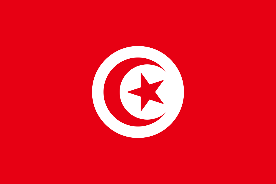 Tunisia at the 2016 Summer Olympics