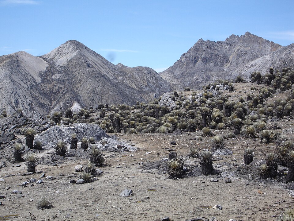 Pico Piedras Blancas