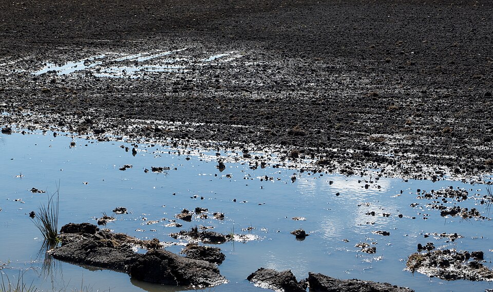 waterlogging