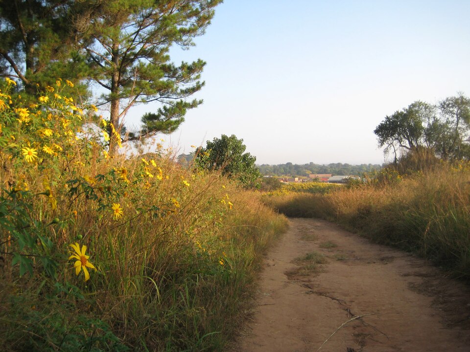 Mwinilunga