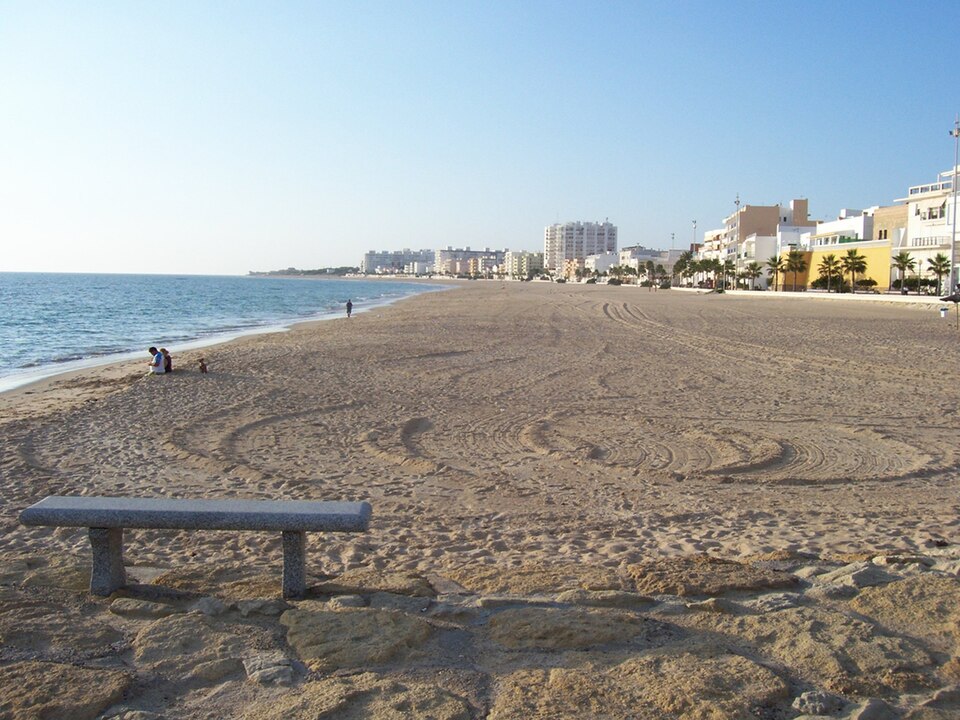 Rota