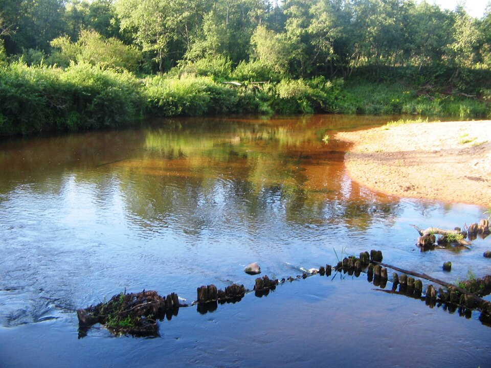 Sarjanka