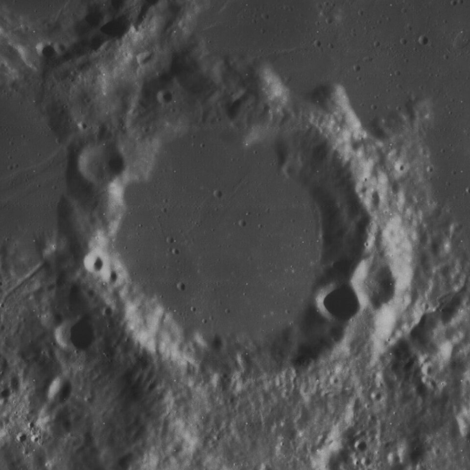 Mercator