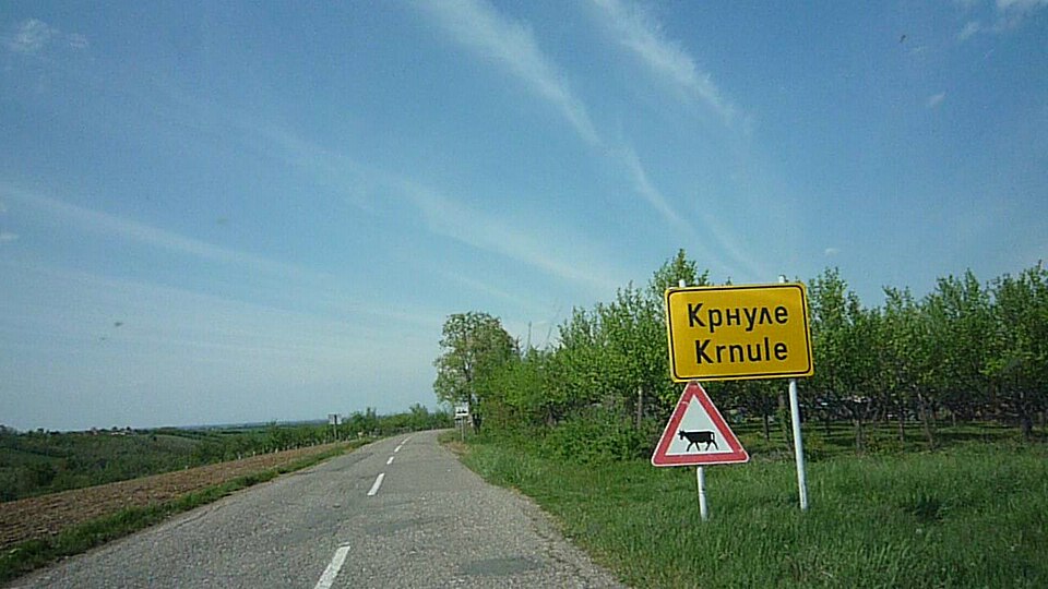 Krnule