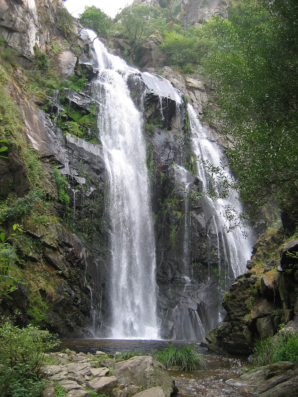 O Deza